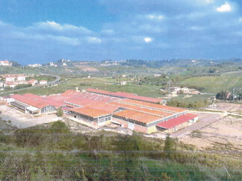 immagine annuncio 1 di 13