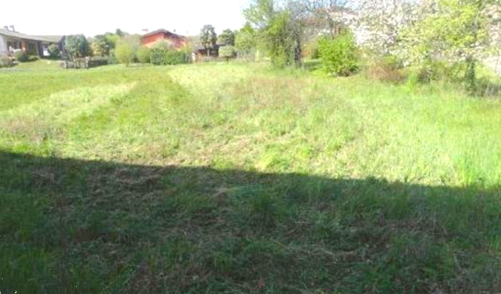 immagine annuncio 3 di 13