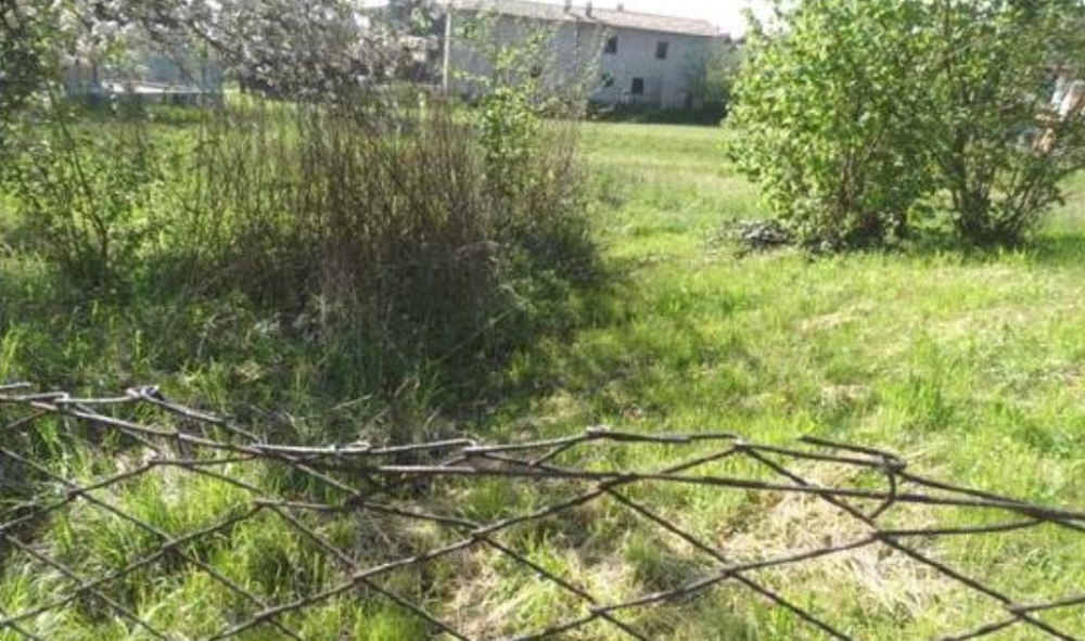 immagine annuncio 6 di 13