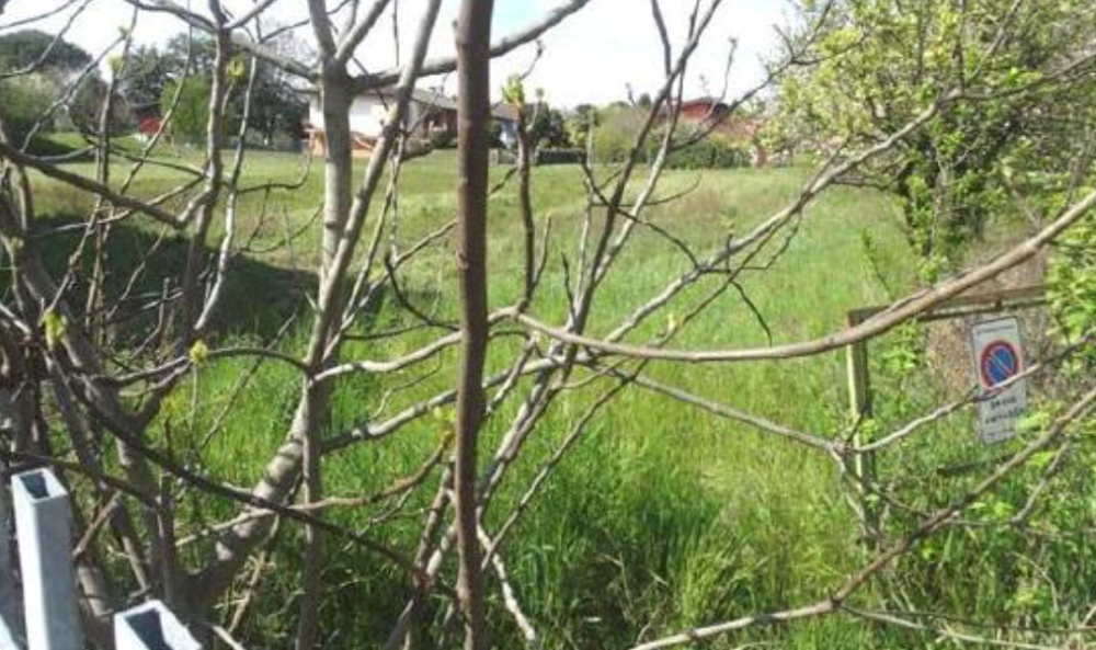 immagine annuncio 7 di 13