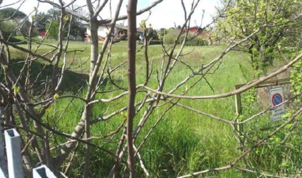 immagine annuncio 8 di 13