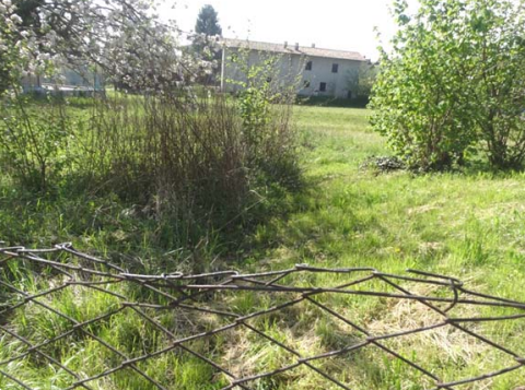 immagine annuncio 1 di 13