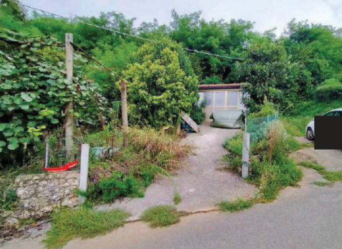 immagine annuncio 2 di 13