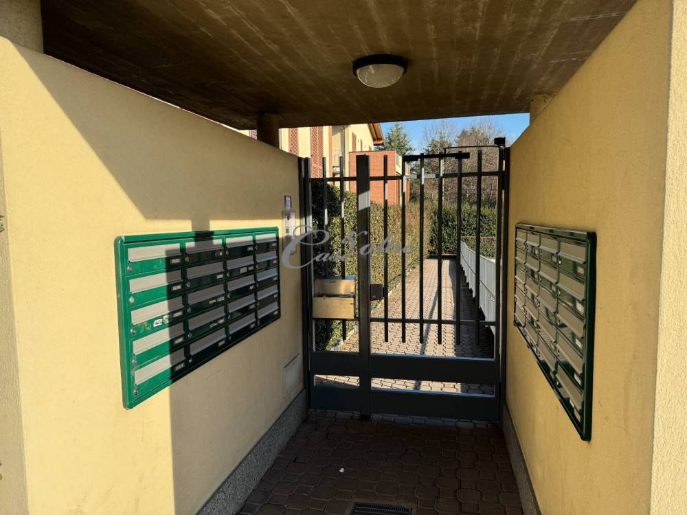 immagine annuncio 6 di 13