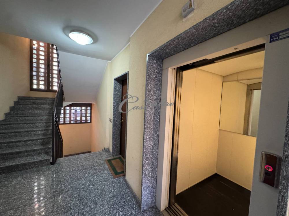 immagine annuncio 7 di 13