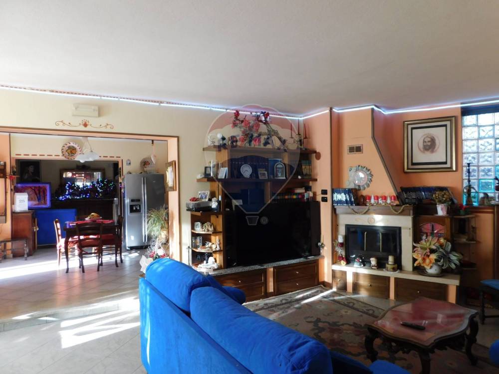 immagine annuncio 3 di 13