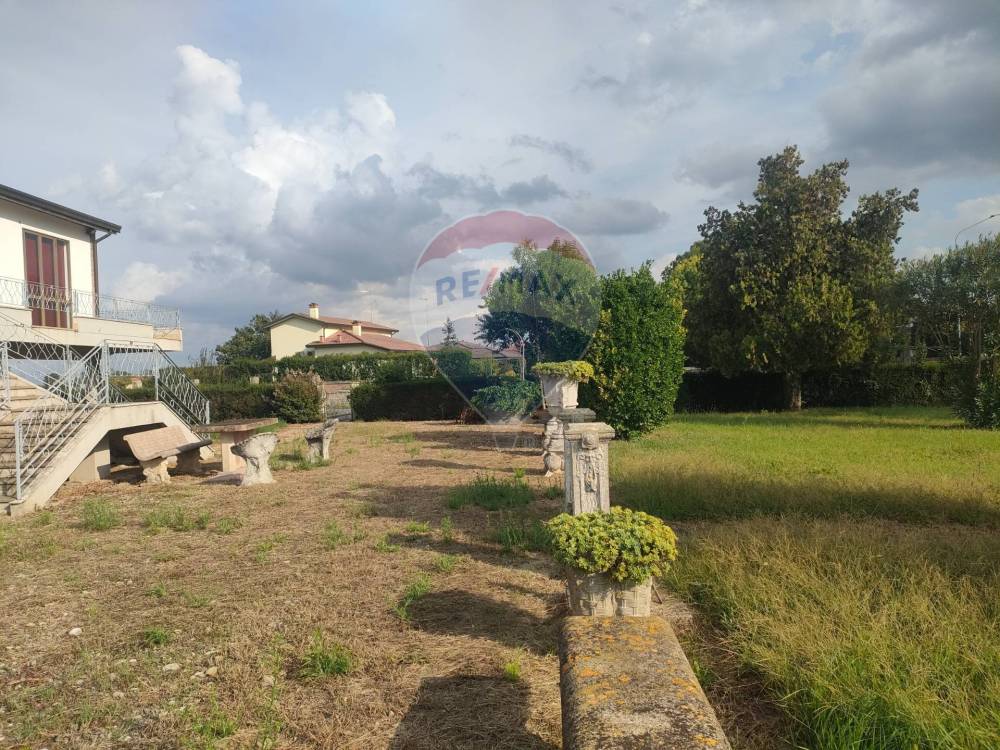 immagine annuncio 4 di 13