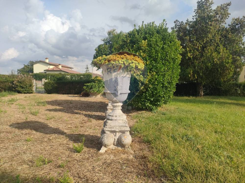 immagine annuncio 5 di 13