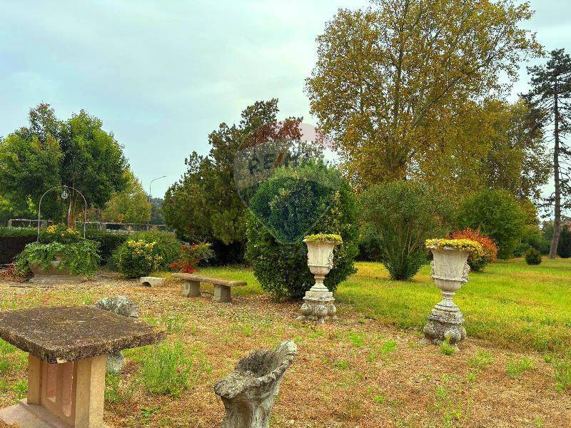 immagine annuncio 9 di 13