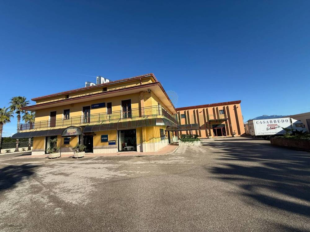 immagine annuncio 1 di 7