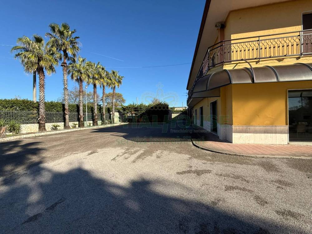 immagine annuncio 3 di 7