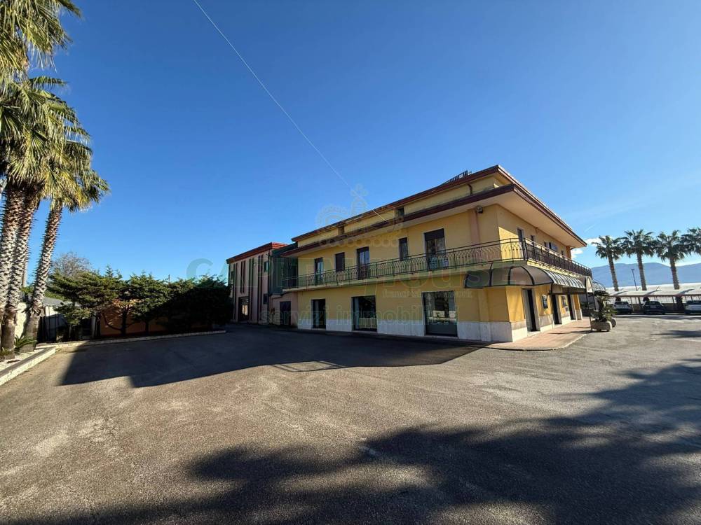 immagine annuncio 2 di 7