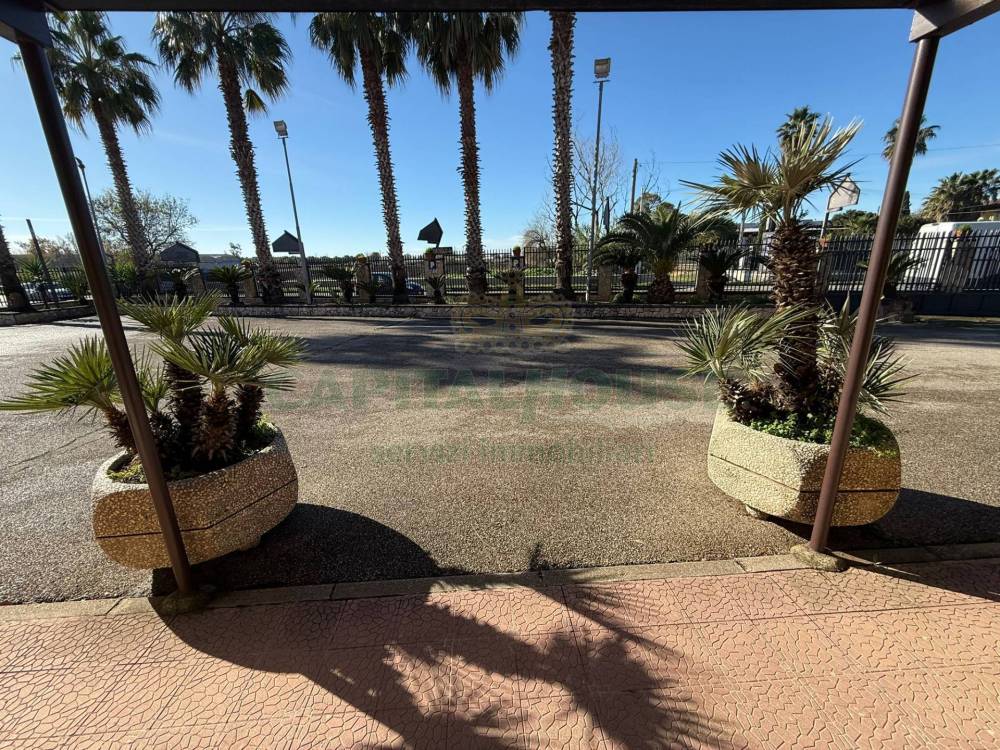 immagine annuncio 6 di 7