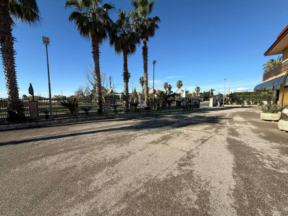 immagine annuncio 5 di 7