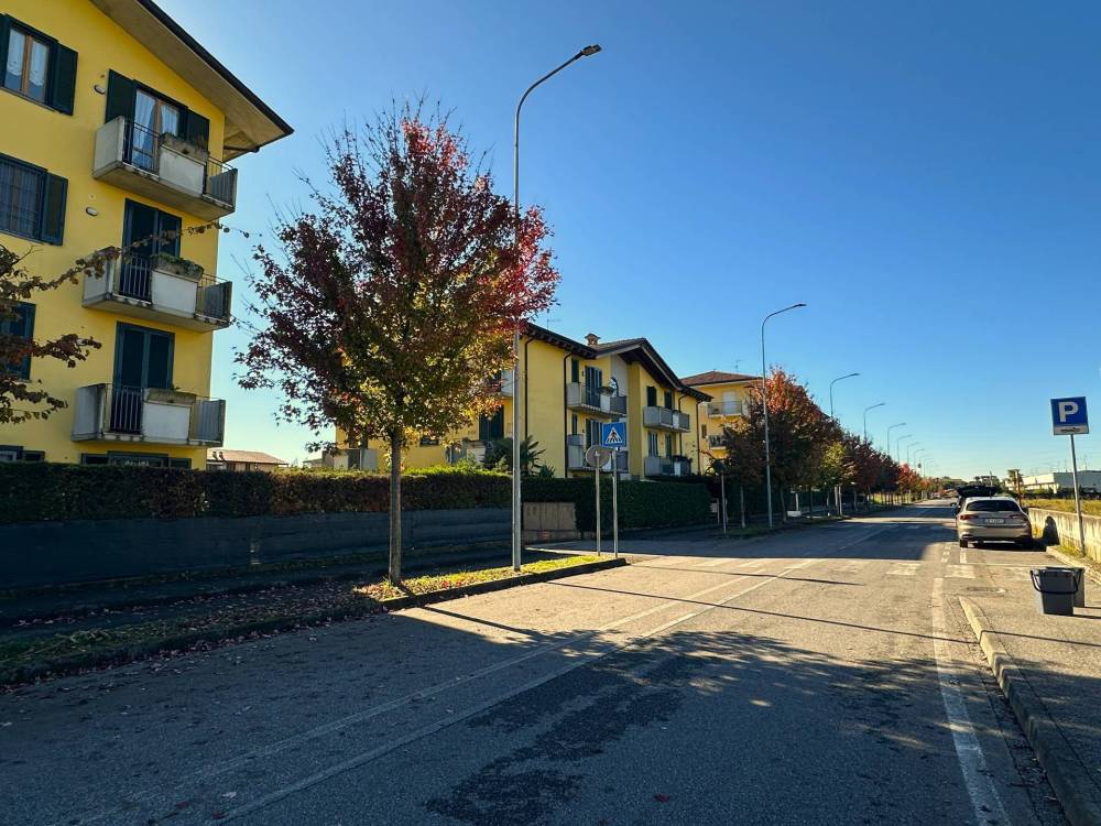 immagine annuncio 9 di 11