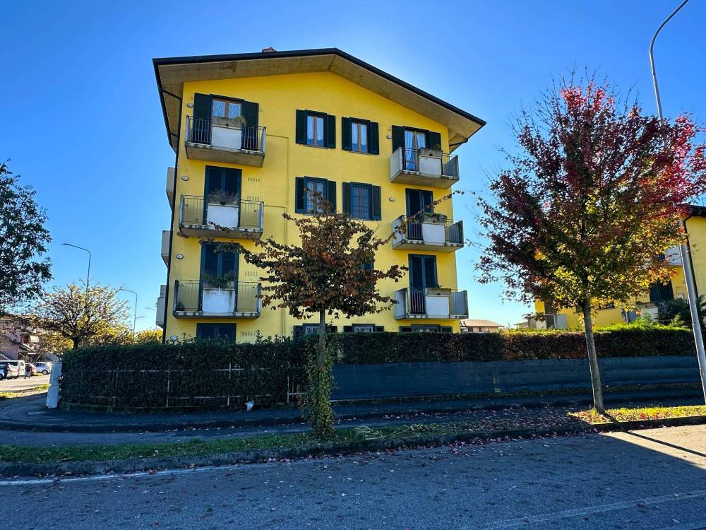 immagine annuncio 10 di 11