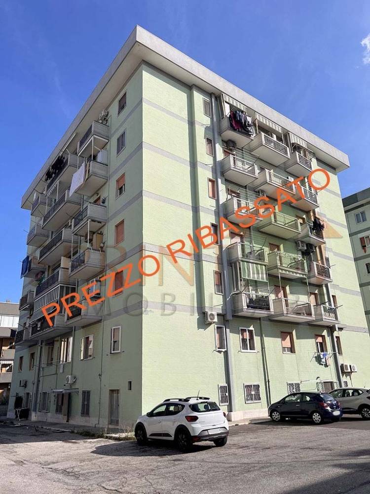 immagine annuncio 12 di 13