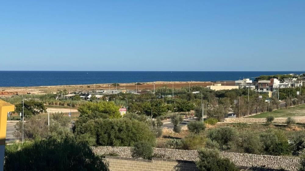 immagine annuncio 6 di 8