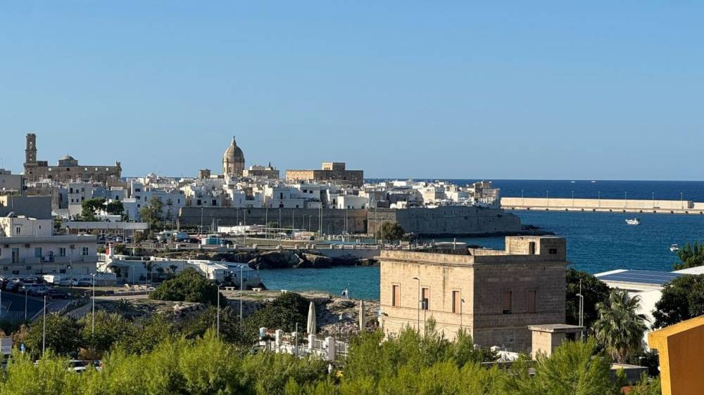 immagine annuncio 5 di 8