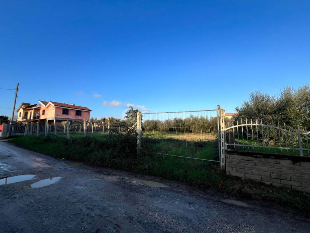 immagine annuncio 2 di 6