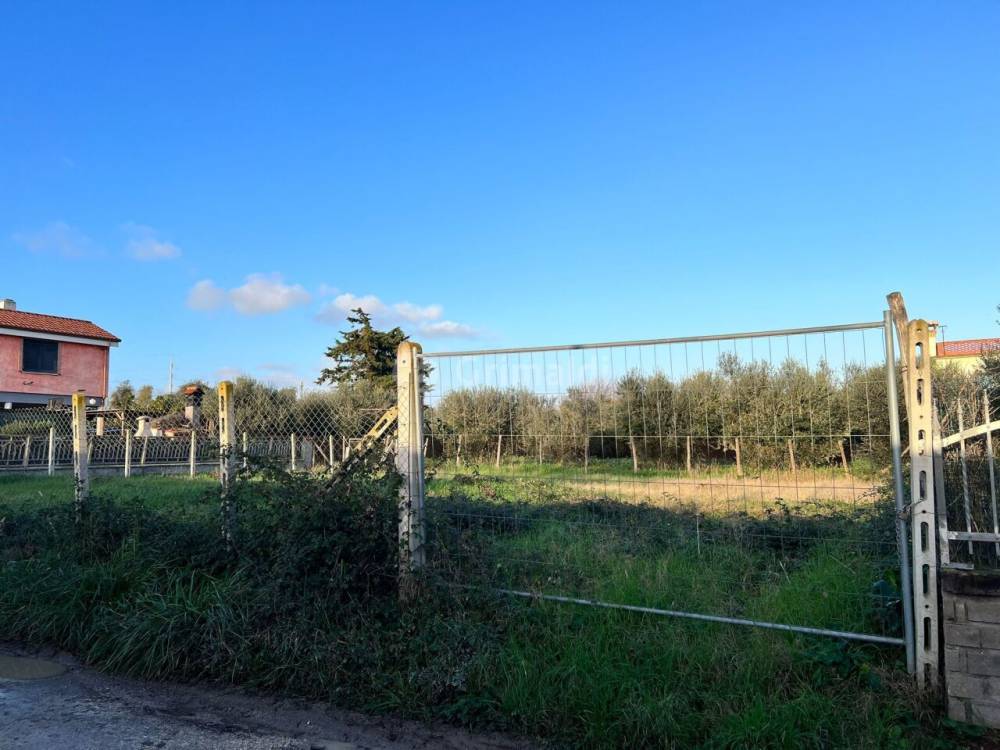 immagine annuncio 3 di 6