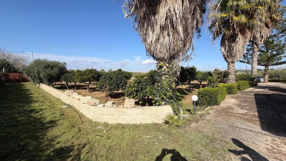 immagine annuncio 11 di 13