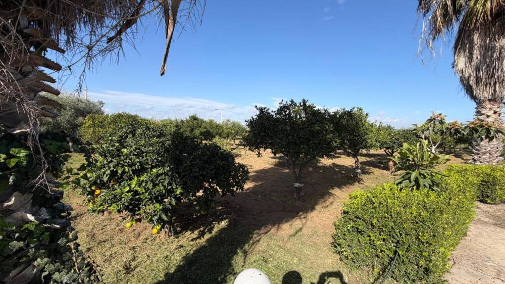 immagine annuncio 7 di 13