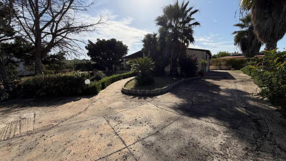 immagine annuncio 4 di 13