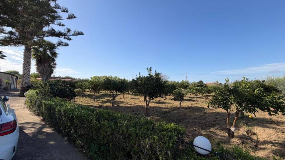 immagine annuncio 1 di 13