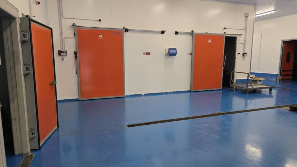 immagine annuncio 1 di 13