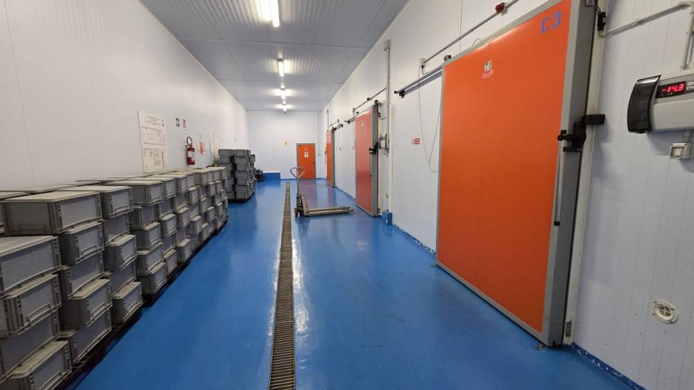 immagine annuncio 4 di 13