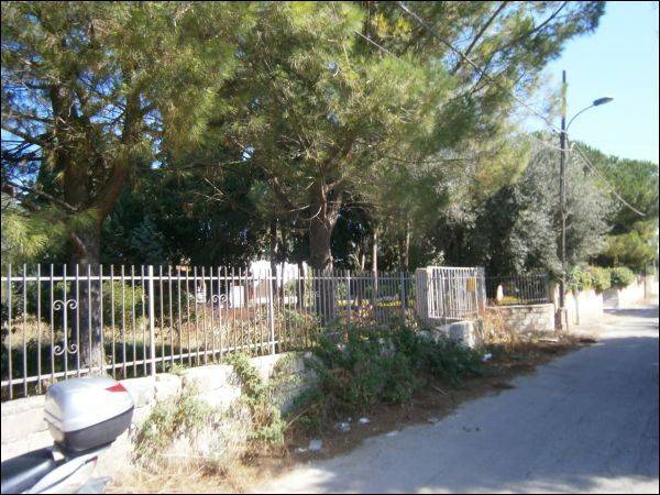 immagine annuncio 1 di 2