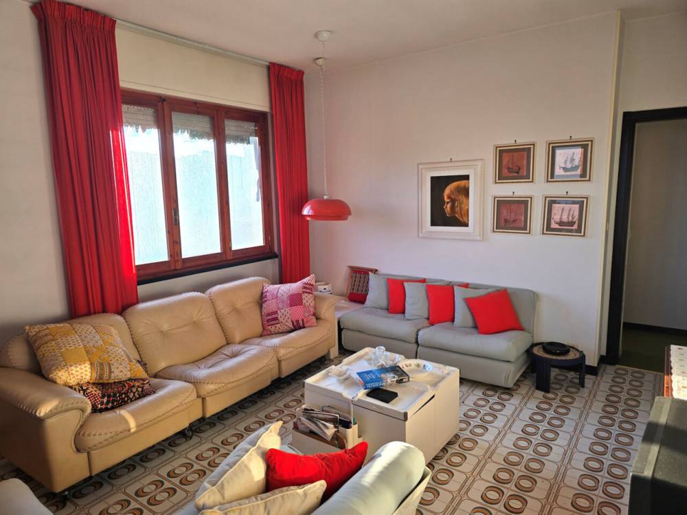 immagine annuncio 3 di 13