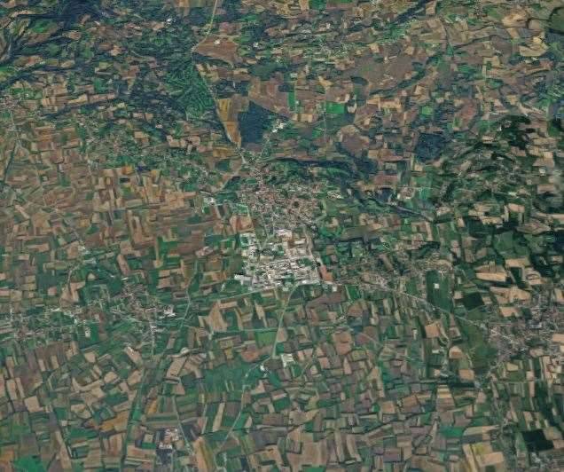 immagine annuncio 12 di 13