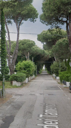 immagine annuncio 9 di 13