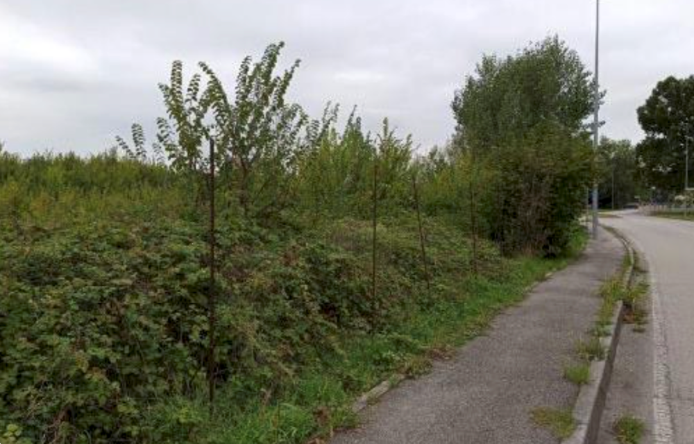 immagine annuncio 3 di 13