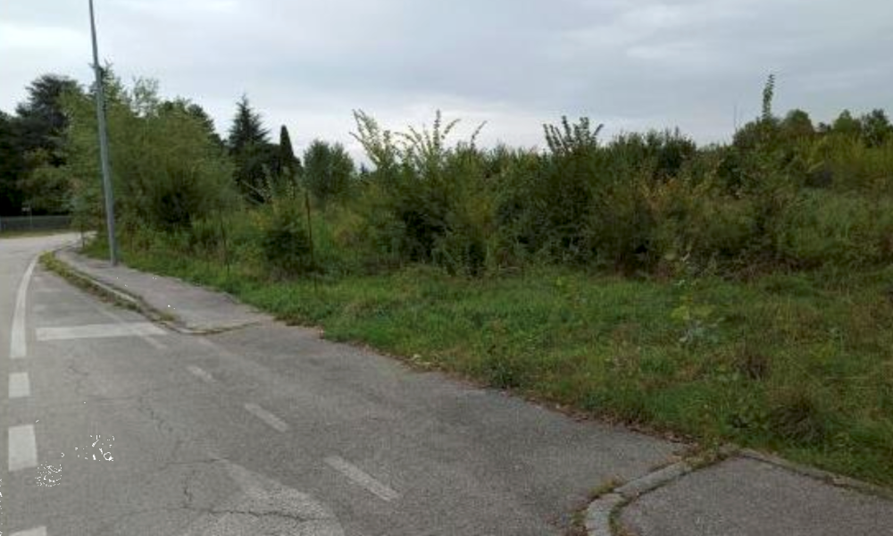 immagine annuncio 7 di 13