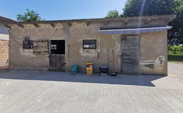 immagine annuncio 6 di 13