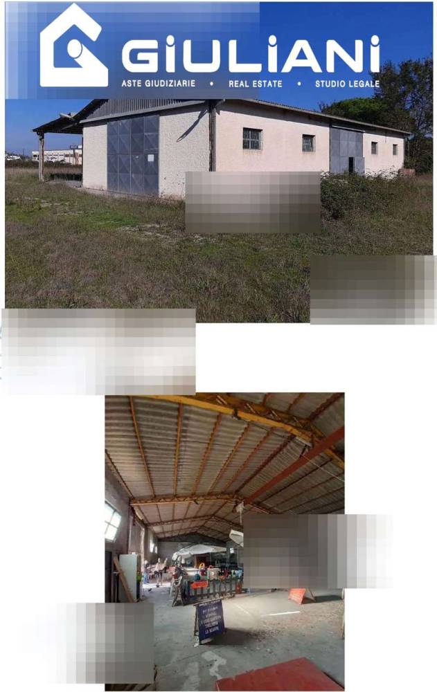 immagine annuncio 4 di 6