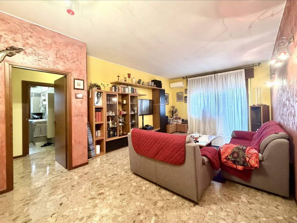 immagine annuncio 11 di 13