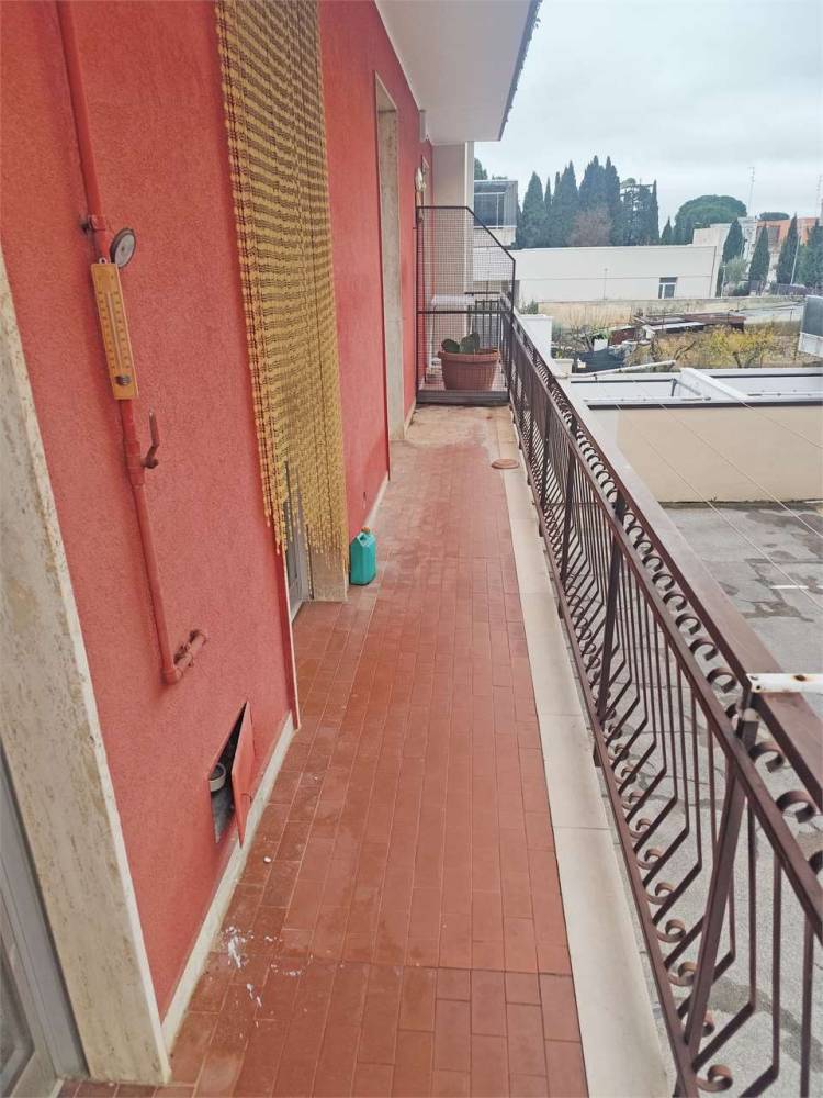 immagine annuncio 3 di 12