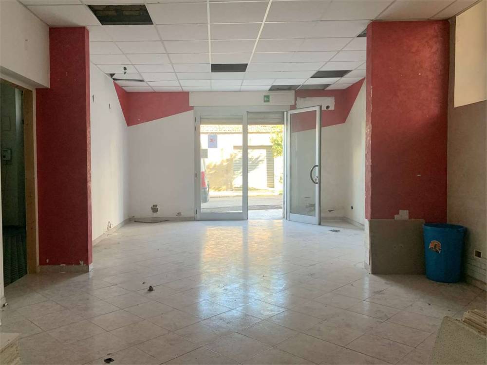 immagine annuncio 2 di 3