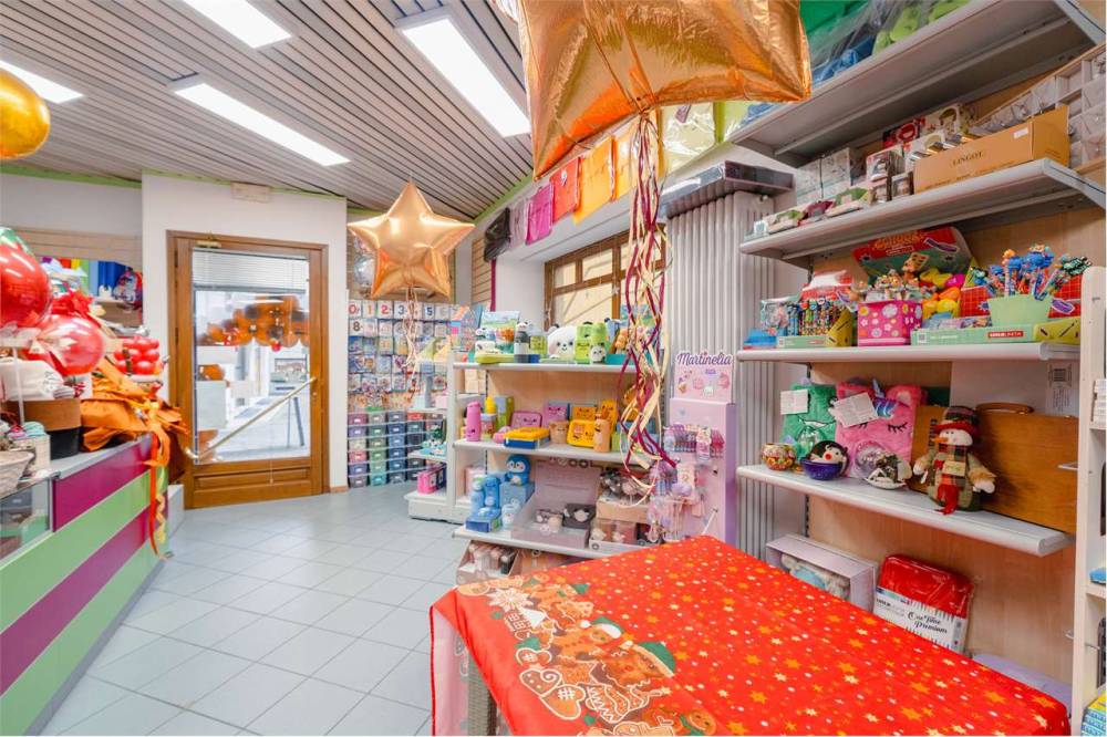 immagine annuncio 10 di 13