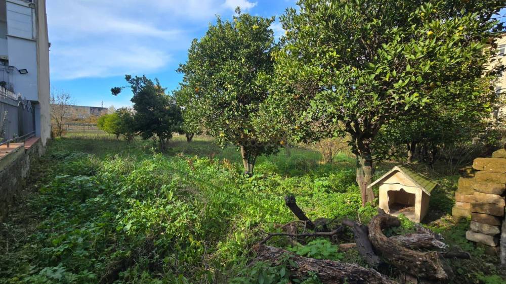 immagine annuncio 10 di 13