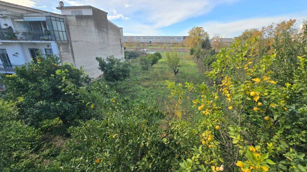 immagine annuncio 12 di 13