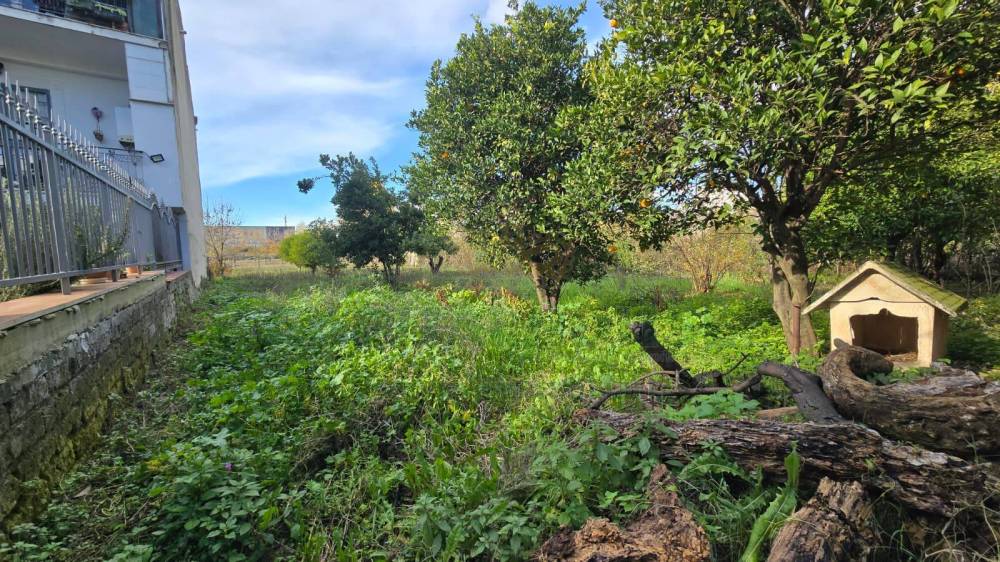 immagine annuncio 11 di 13