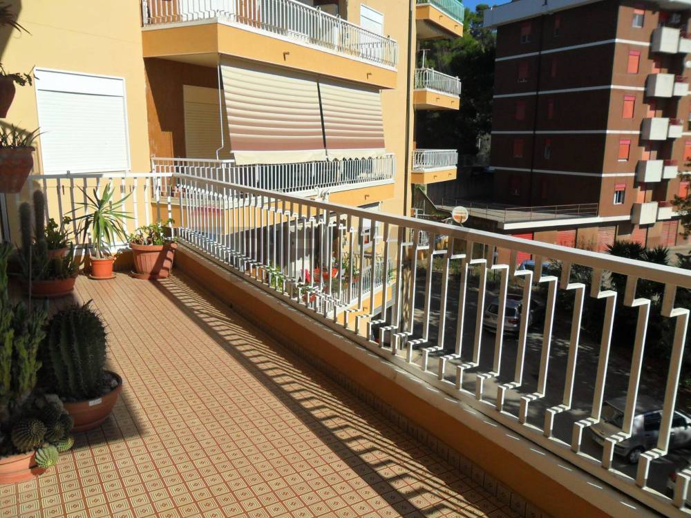 immagine annuncio 1 di 14