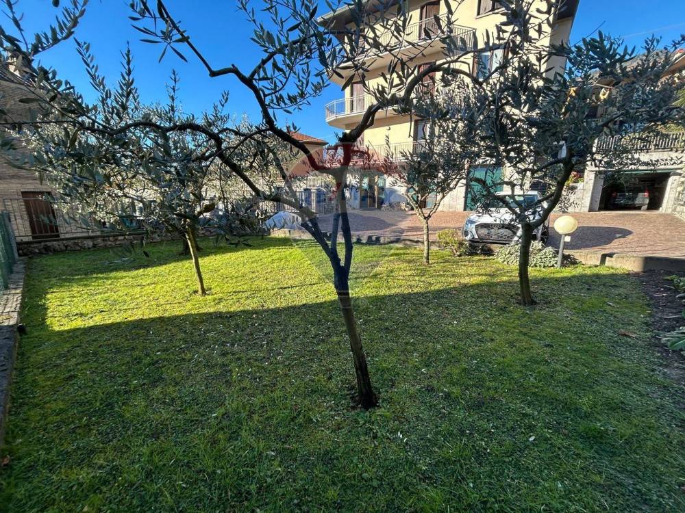 immagine annuncio 2 di 13