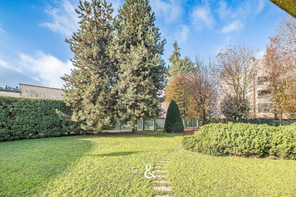 immagine annuncio 3 di 13