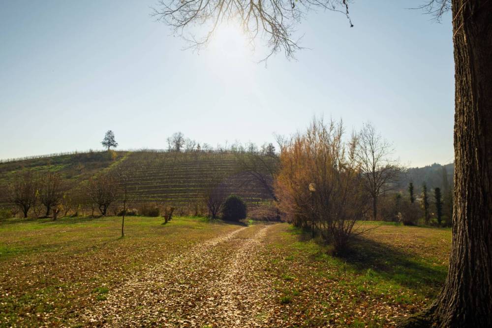 immagine annuncio 2 di 13